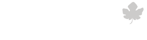 Folotrio LLC - Website Design & Content Strategy Company